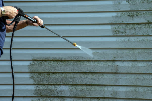 Best Roof Washing  in Birch Bay, WA